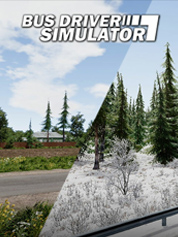 Bus Driver Simulator - Murom Suburbs