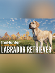 theHunter: Call of the Wild - Labrador Retriever